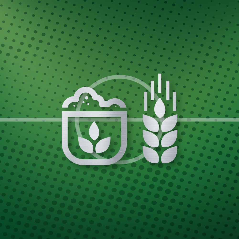 two chairs on a dock overlooking a lake two chairs on a dock overlooking a lake